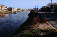 The Ballona Lagoon