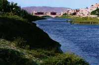 The Ballona Lagoon